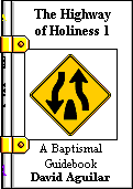 The Highway of Holiness (Volume 1)